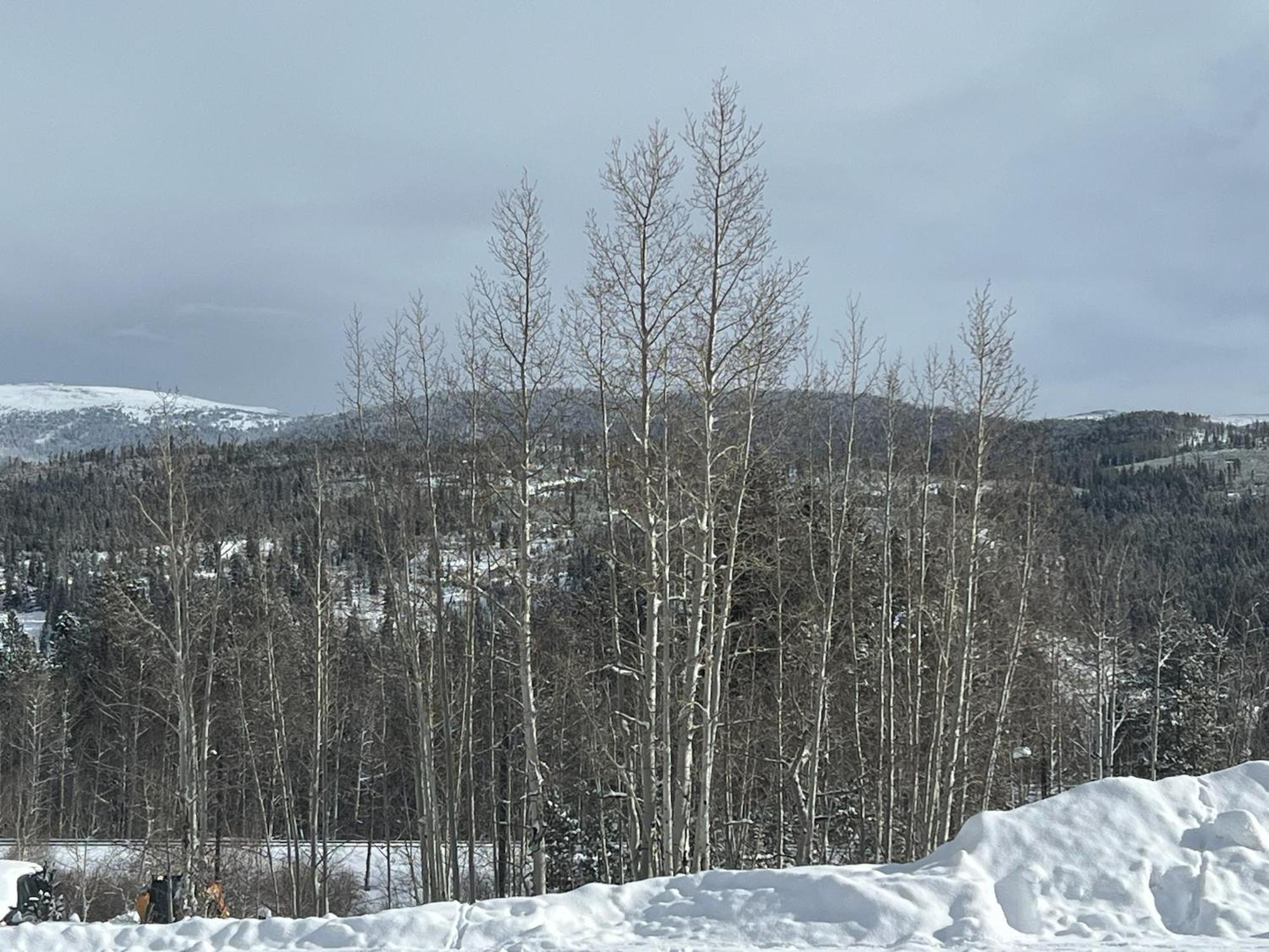 Silverado II Winter Park Dış mekan fotoğraf